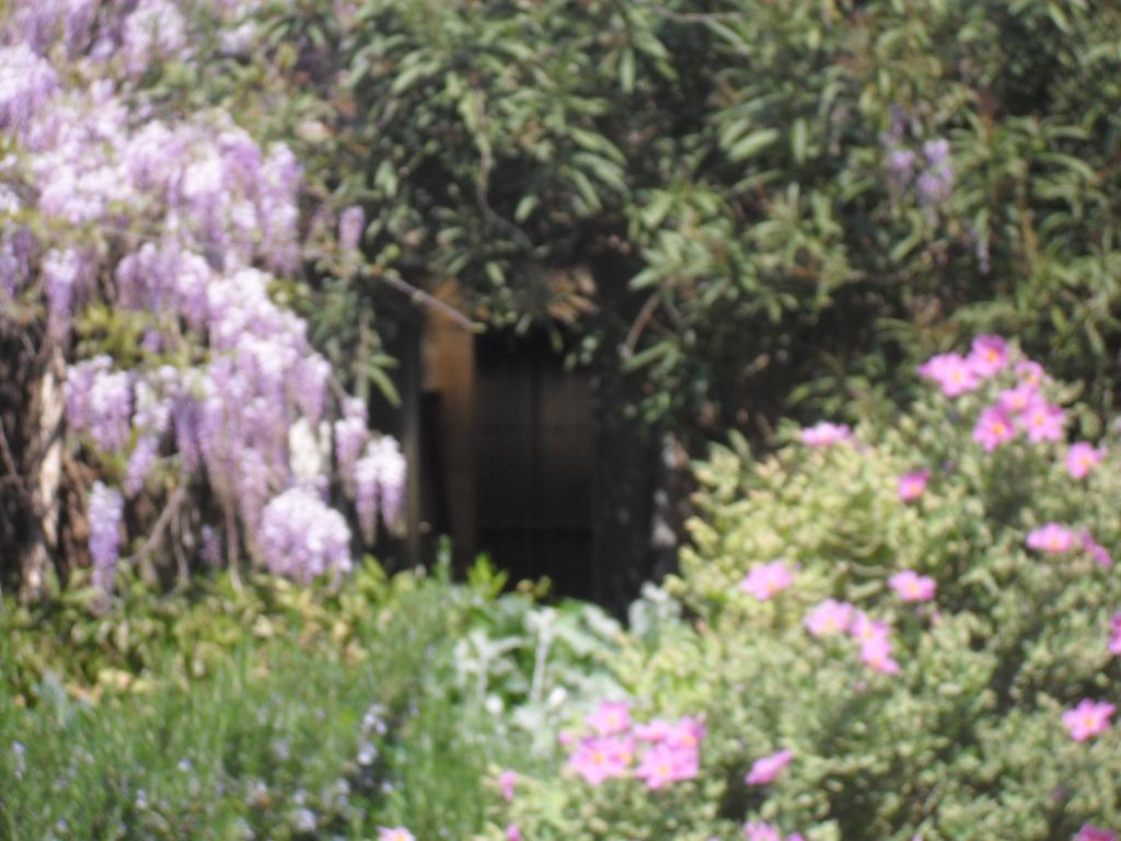 玫瑰住宿加早餐旅馆 Saint-Gervasy 外观 照片